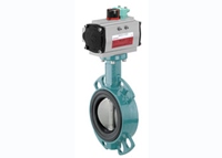 butterfly valve
