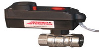 Free ball valves