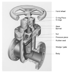 Seguro rubber sealed resilient seated gate valve