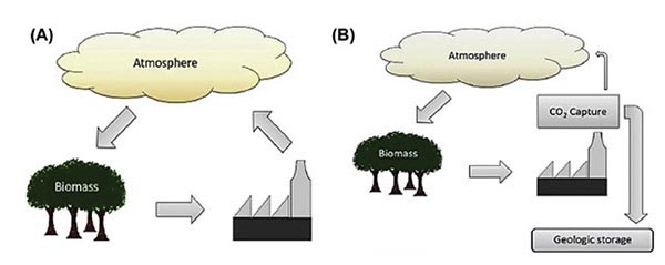 The short carbon cycle, using biomass for energy purposes (a). In scenario (b), part of the CO2 is captured and stored underground.