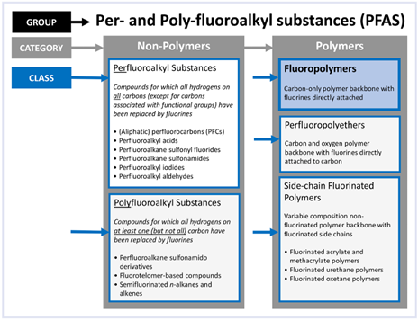 Figure 1. PFAS chemical naming syntax.