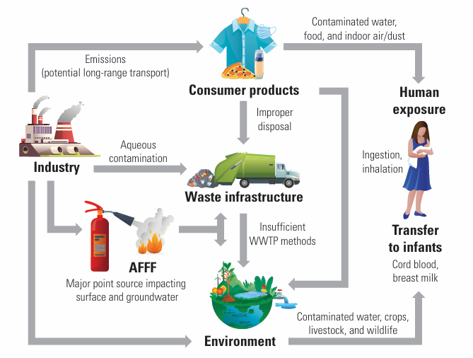 Figure 2. Products of PFAS chemicals and where they may enter environment.