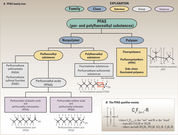 Figure 4. PFAS classification.