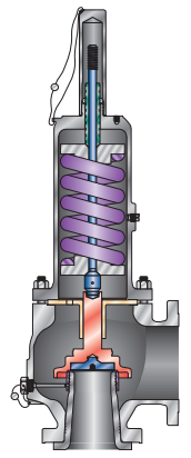 Conventional safety and relief valve and closed-type bonnet