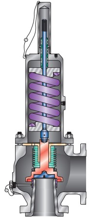 Balanced safety and relief valve with bellows and closed-type bonnet