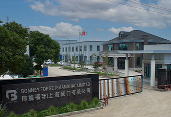 Bonney Forge Europe is a fully integrated forged steel valve manufacturing facility – with forging presses, heat treatment, machining, assembly and testing all located on one campus! Bonney Forge Europe is a fully integrated forged steel valve manufacturing facility – with forging presses, heat treatment, machining, assembly and testing all located on one campus!