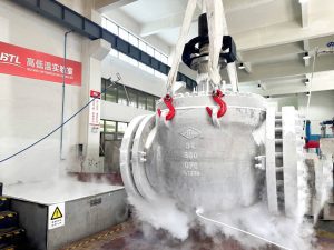 Low-temperature test