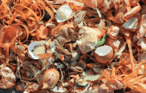 Bio-systems can convert kitchen waste into valuable fuels such as renewable natural gas.
