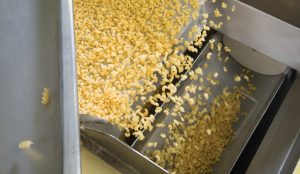 Regulation (EC) No. 2023/2006 lays down the rules on good manufacturing practice for materials and articles intended to come into contact with food.